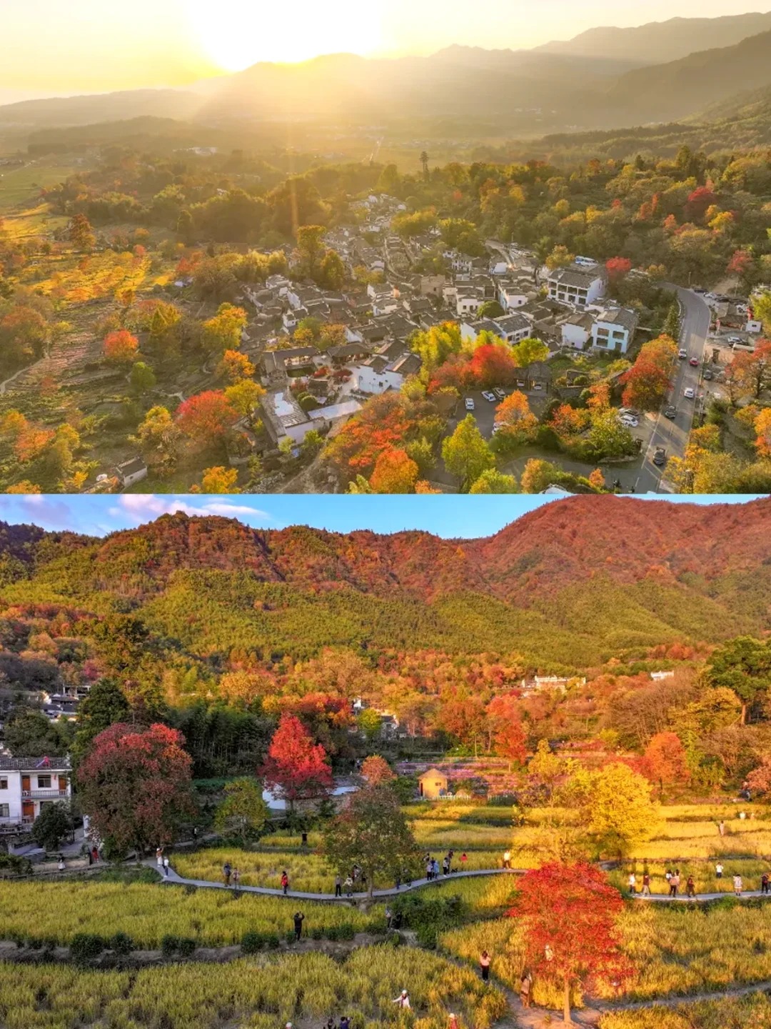 塔川的秋天美哭了😭，根本没有平替_4_麦客旅行_宏村西递-古镇-来自52tours 我爱旅游网